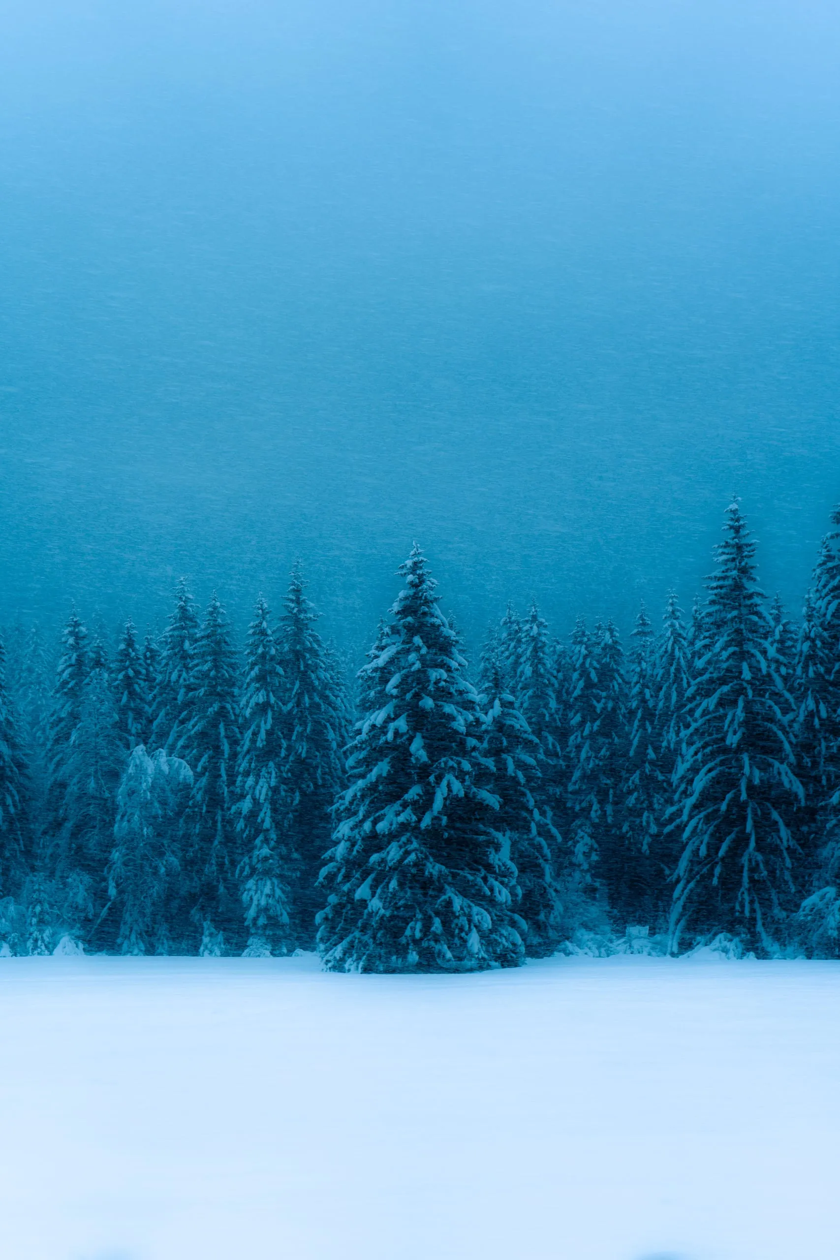 Winter Alps #01 — photograph by Andrea Corno
