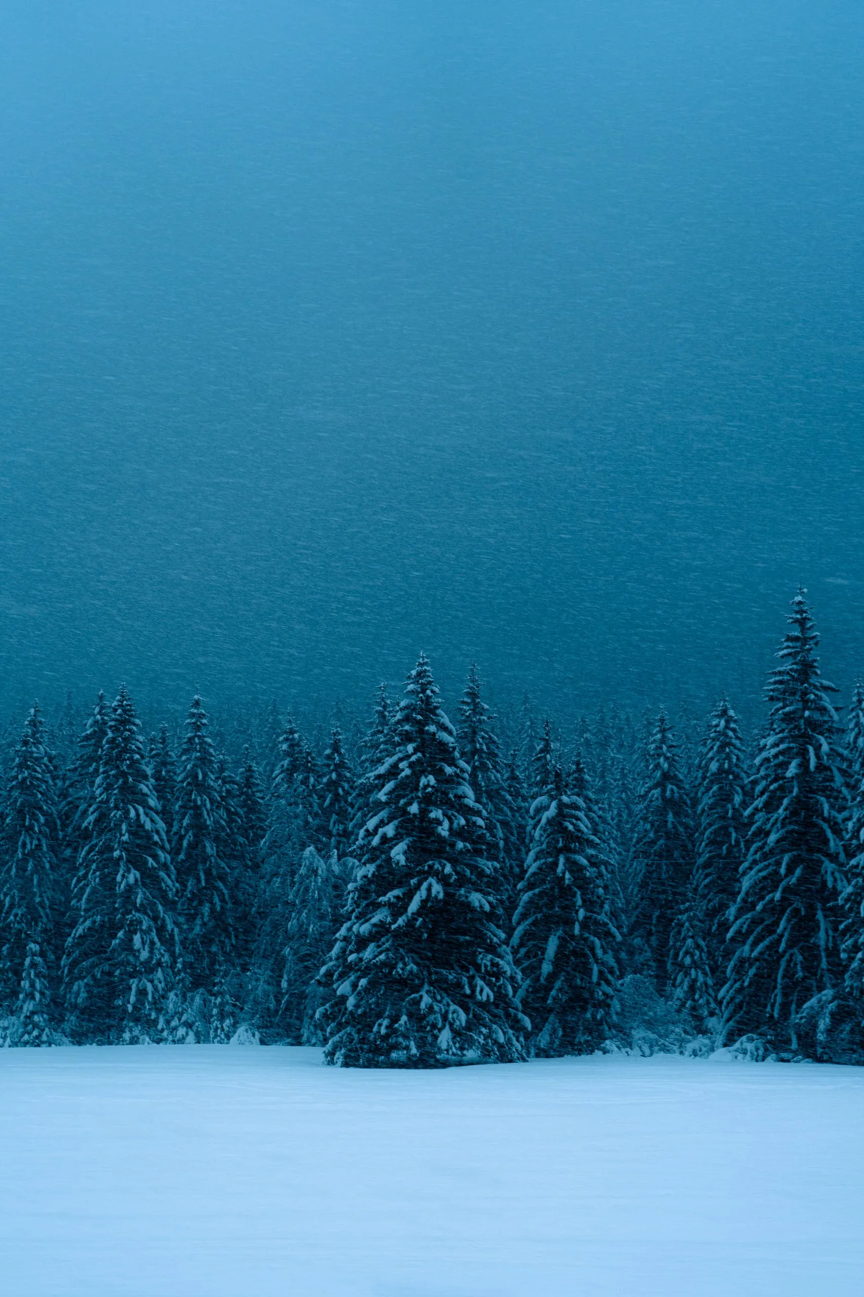 Winter landscape in the Dolomites, Italy — photograph by Andrea Corno